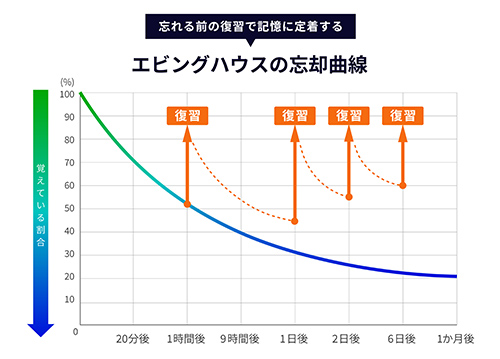 エビングハウスの忘却曲線